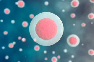 conservare le cellule staminali