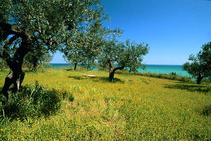 hotel paradiso Martinsicuro Abruzzo