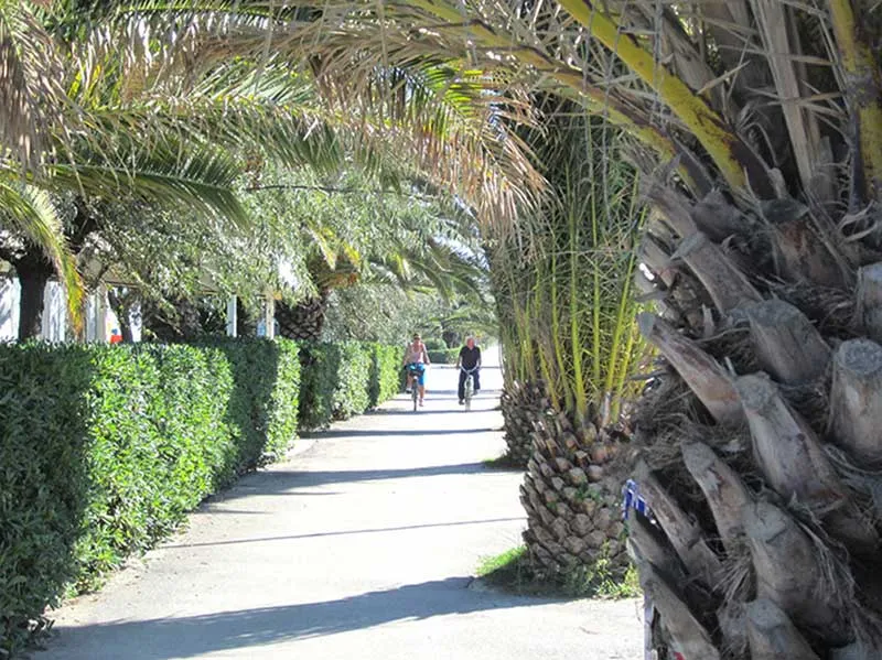 Un Paradiso per le vacanze hotel paradiso Martinsicuro Abruzzo