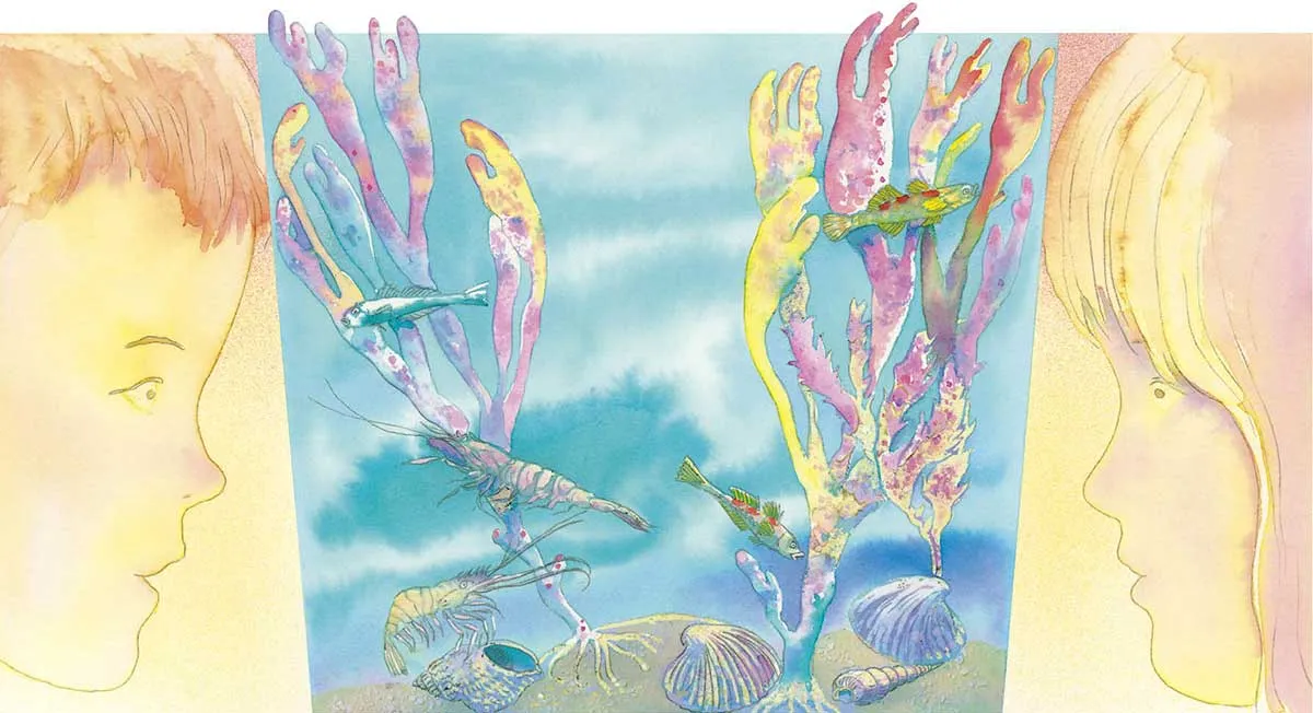 Un solo mondo Un solo mondo