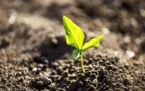 elemento-terra-silvia-montagna