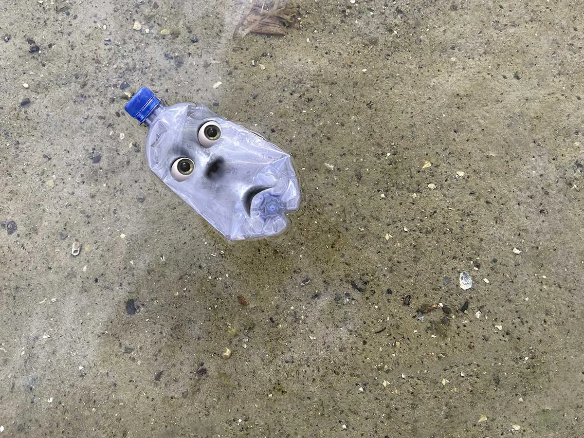 Earth Speaker: i bambini parlano per il pianeta