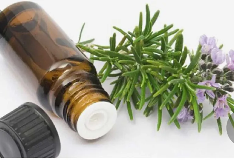 Oli essenziali contro il freddo