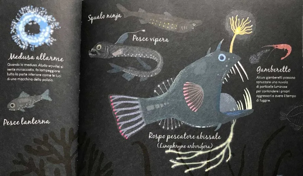 Libri per bambini - Luci nella notte Libri per bambini - Luci nella notte