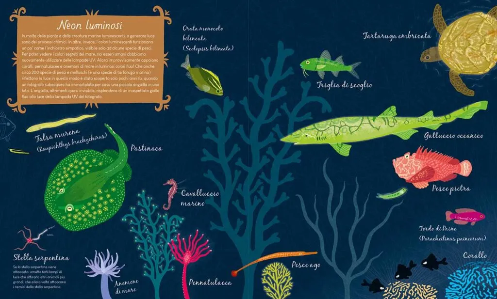 Libri per bambini - Luci nella notte Libri per bambini - Luci nella notte