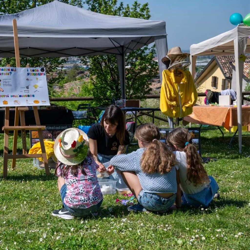 I Segreti della Natura – Disegniamo l’Arte